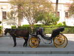 Seville - horse and buggy