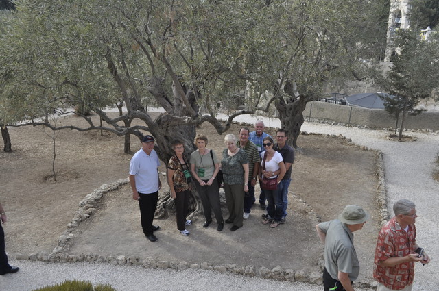Garden of Gethsemane family group