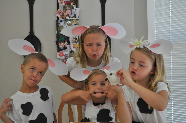 four silly cows