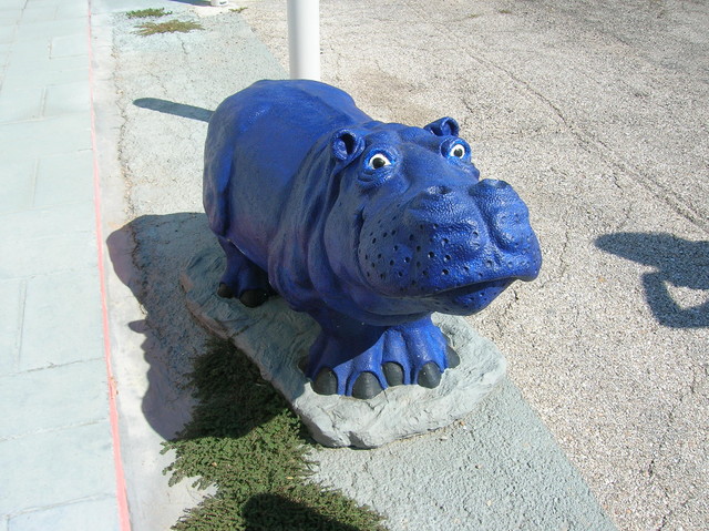 Then on the way down we found THE HIPPO CAPITAL OF THE WORLD!!! Hutto, TX. aka Mom's Heaven