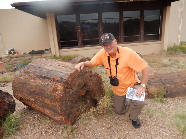 big old log