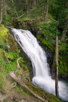 This is Flume Falls, where Dave and I took Toric up the steep atv trail to see.
