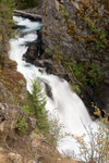 Dan and Missi came with me when I photographed Wallowa Falls from the east side.