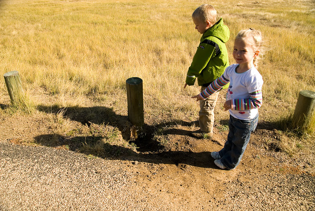 pointing at the prairie dog hole