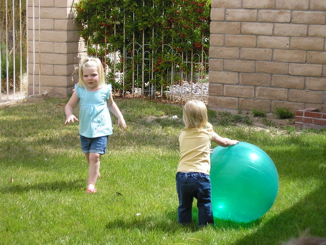 Callie and Rhya with the big ball in Shelly's backyard.
