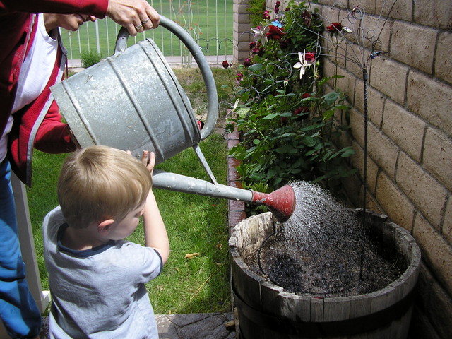 Shelly helping Toric to water with her giant old watering can.