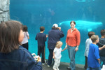The big Beluga wale checking out Martha
