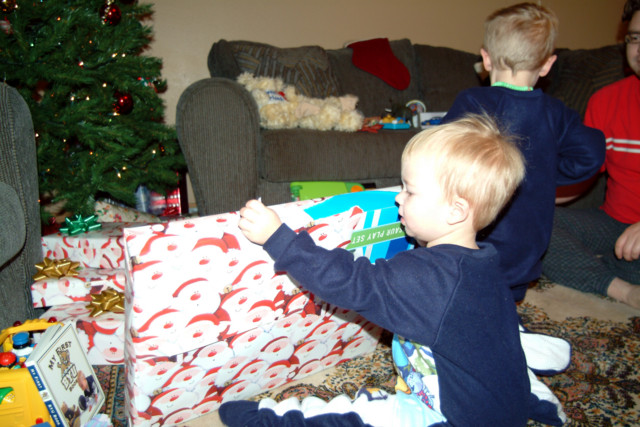 His other big gift was a box of dinosaurs!  Mom spends a lot of time convincing them to pick them up when they are done.