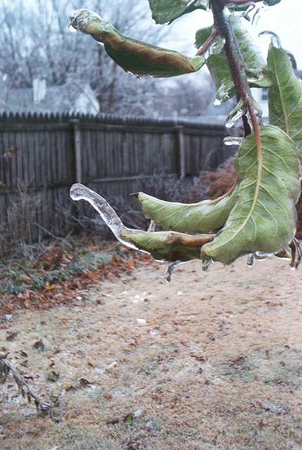 Icicles growing upside down?