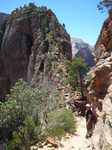 Angels Landing trail: right up the spine