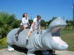 Have you ever tried to straddle a hippo? They are wide. I felt like I was doing the splits. And it hurt.