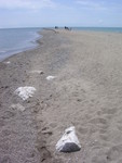 The Point at Pelee