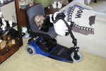 Rhya worked hard to get up on the electric scooter!