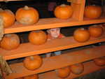 Peek a boo pumpkin house