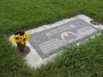 Sun flowers on grave