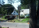 The house across the street had a tree fall on their house during a storm.  We were lucky to only have a tree split.