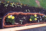 Deck Box with Cucumbers and Merrigolds