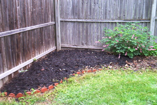 Heart Bush Corner with new mulch, where rubarb will go