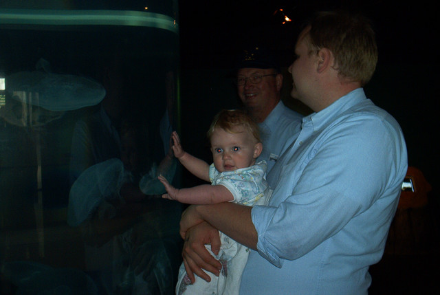 Can I eat the jellyfish Daddy?
