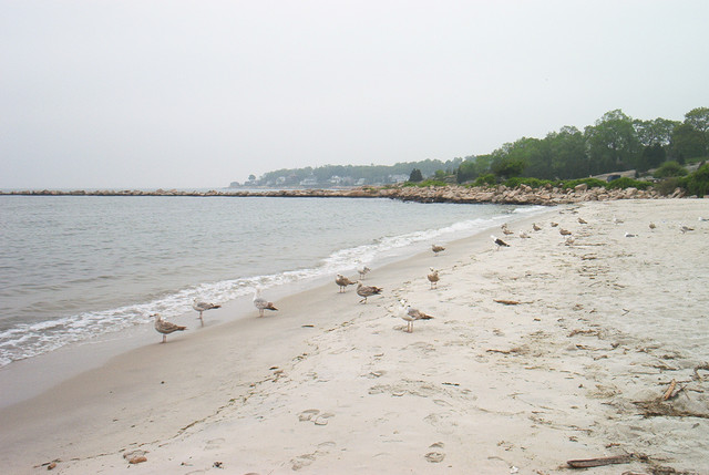 A Connecticut beach on the Long Island sound